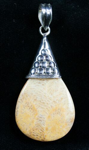 Beautiful Fossil Coral Pendant #7718